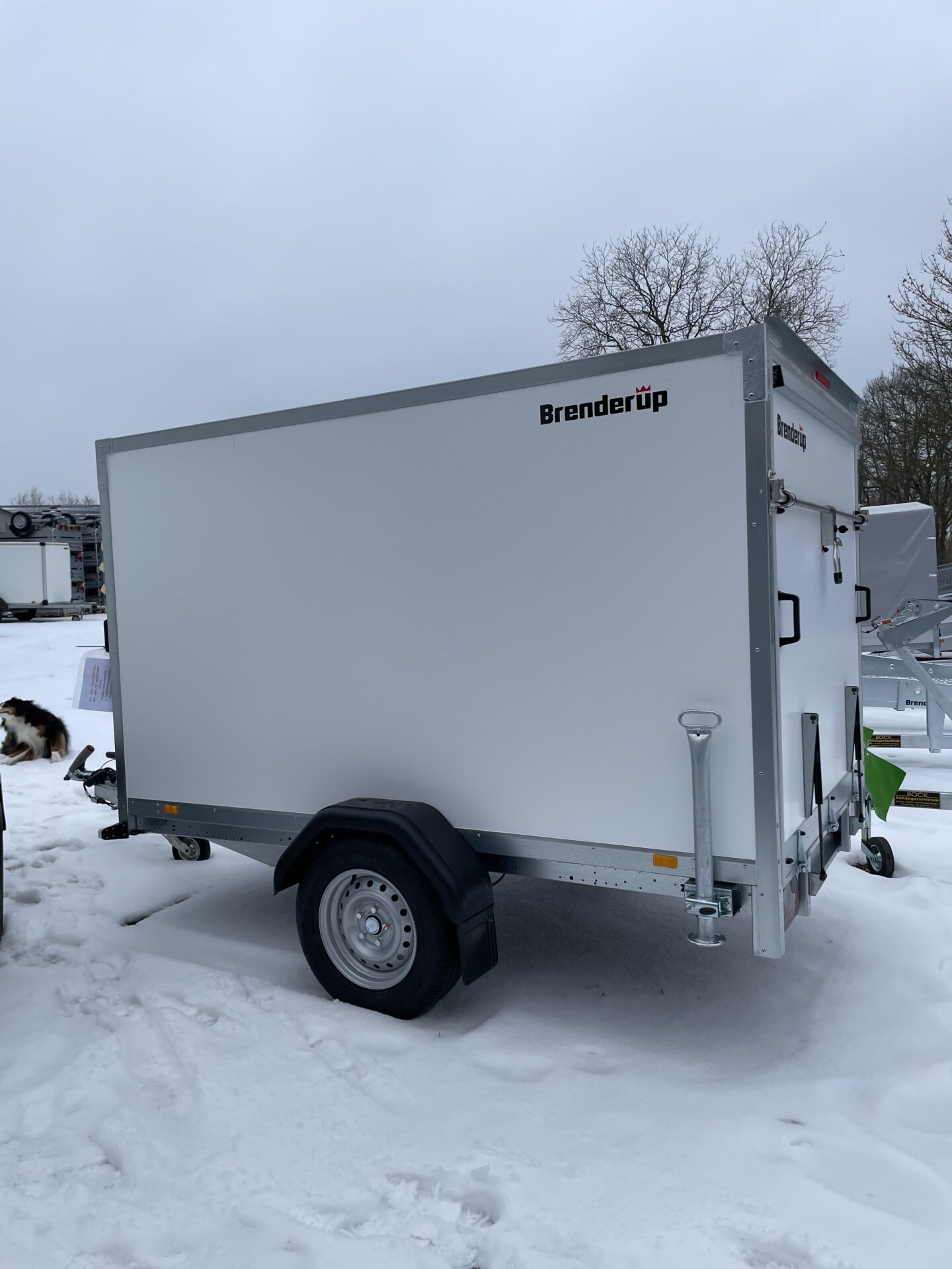 Brenderup CD260WBR1300, 1300 kg, Überfahrwand und Radstoßdämpfer – Bild 3